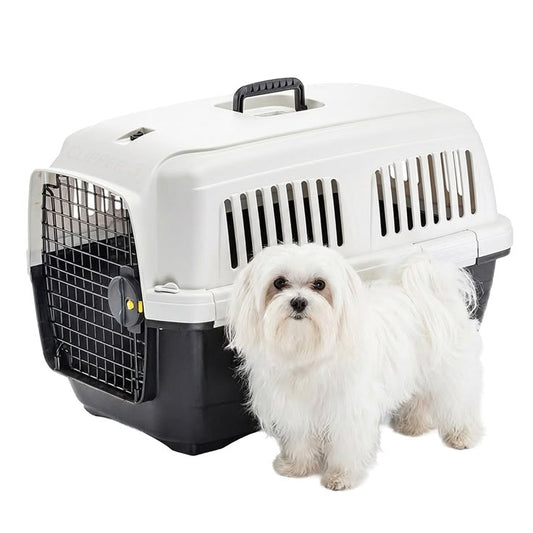 Pet Travel Carrier