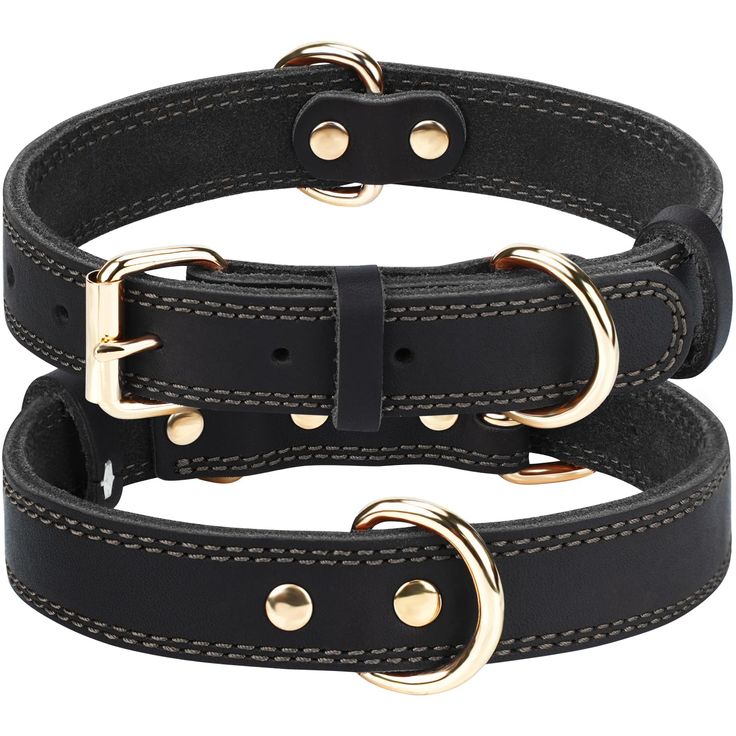 Pet Collar