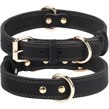 Pet Collar