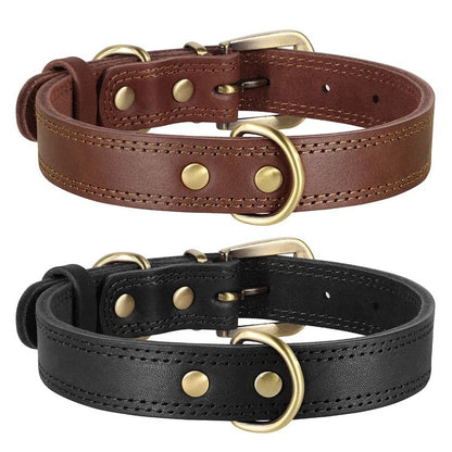 Pet Collar