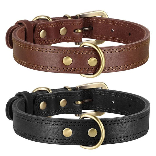 Pet Collar