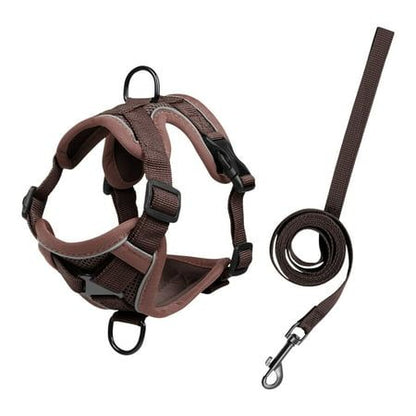 Pet Leash