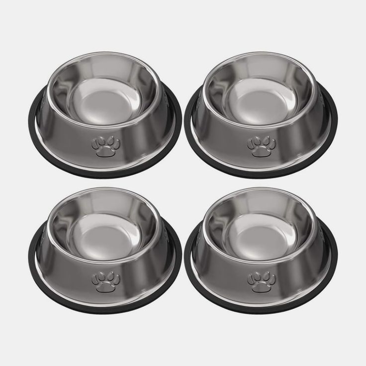 Pet Food Bowl